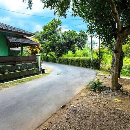 Villa Amalura I Yogyakarta Exteriér fotografie